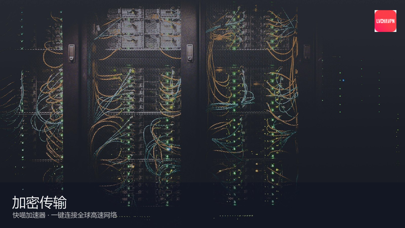 快喵 — 主体证照